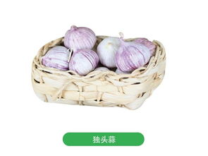 广东大蒜市场 物超所值的大蒜哪里有卖